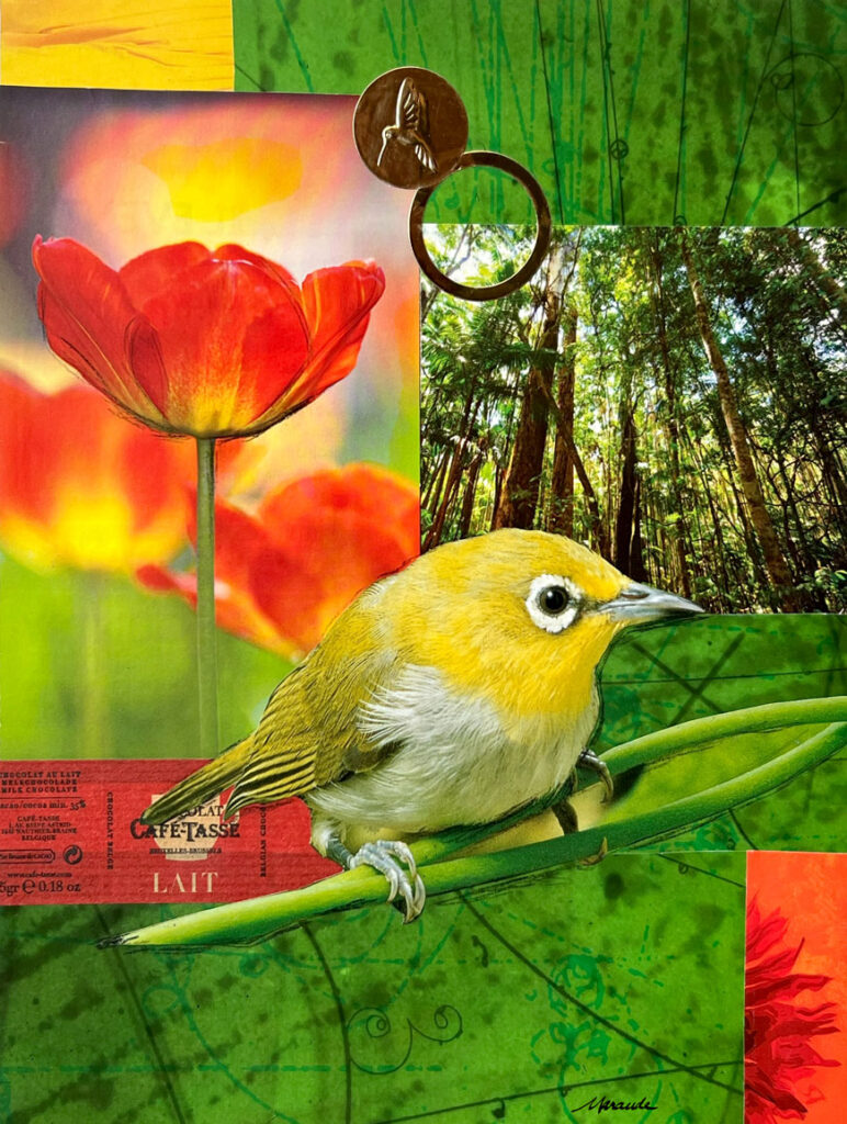 Collage oiseau jaune - Le monde de Maraude